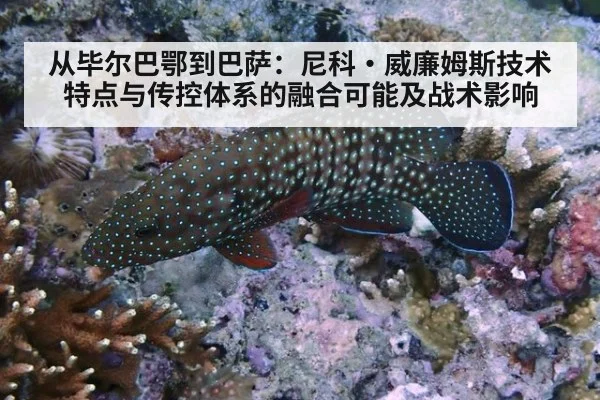 从毕尔巴鄂到巴萨：尼科·威廉姆斯技术特点与传控体系的融合可能及战术影响